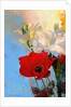 Poppy on blue, 2014 by AlyZen Moonshadow