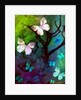 In the Company of Butterflies, 2014 by AlyZen Moonshadow