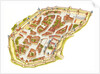 Carcassonne, France. Aerial view, 2014 by Fernando Aznar Cenamor