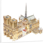 Notre-Dame Cathedral. Paris, France, 2014 by Fernando Aznar Cenamor