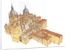 Salamanca Cathedral. Spain by Fernando Aznar Cenamor