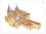 Salamanca Cathedral. Spain by Fernando Aznar Cenamor