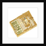 Mosque of Cordoba, Spain. Aerial view by Fernando Aznar Cenamor