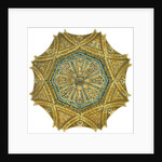Mosque of Cordoba, Spain. Mihrab cupola by Fernando Aznar Cenamor