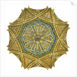 Mosque of Cordoba, Spain. Mihrab cupola by Fernando Aznar Cenamor