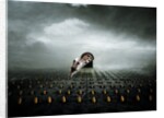 Ttulip thief 2, 2013 by Johan Lilja