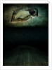 Panic, 2012 by Johan Lilja