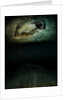Panic, 2012 by Johan Lilja