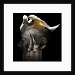 Swan, 2013 by Johan Lilja