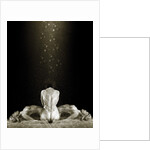 Free, 2013 by Johan Lilja