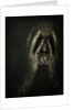 Jail within, 2012 by Johan Lilja