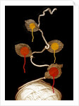 Yarn bloom, 2013 by Johan Lilja