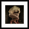 Shame, 2012 by Johan Lilja