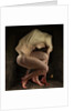 Shame, 2012 by Johan Lilja