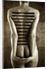 Body, 2013 by Johan Lilja