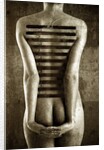 Body, 2013 by Johan Lilja
