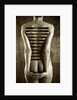 Body, 2013 by Johan Lilja