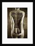 Body, 2013 by Johan Lilja