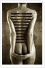 Body, 2013 by Johan Lilja