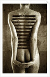 Body, 2013 by Johan Lilja