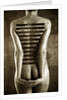 Body, 2013 by Johan Lilja