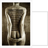 Body, 2013 by Johan Lilja