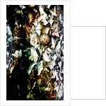 Heart, 2012 by Johan Lilja