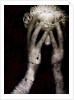 Brain fight, 2013 by Johan Lilja