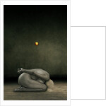 Hide my self, 2013 by Johan Lilja