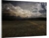 Tulip, 2015 by Johan Lilja