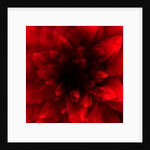 Flower red shade, 2016 by Johan Lilja