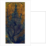 Coleus Window, 2008 by Julia McLemore