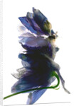 Delphinium Dance, 2009 by Julia McLemore