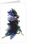 Delphinium Dance, 2009 by Julia McLemore