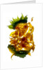 Chiquita Sunflower, 2013 by Julia McLemore