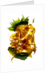Chiquita Sunflower, 2013 by Julia McLemore