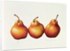 Pears, 2000 by Annabel Barrett