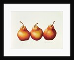 Pears, 2000 by Annabel Barrett