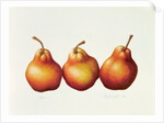 Pears, 2000 by Annabel Barrett