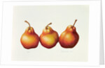 Pears, 2000 by Annabel Barrett