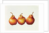 Pears, 2000 by Annabel Barrett