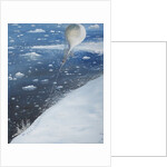 Antarctica's first Aeronaut Captain Scott 4th February 1902, 2005 by Vincent Alexander Booth