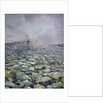 The 42nd Peak, 2012 by Vincent Alexander Booth