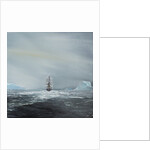 Discovery en route to Antarctica, 2014 by Vincent Alexander Booth