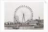 The London Eye, 2006 by Vincent Alexander Booth