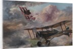 Dogfight 1917, 1995 by Vincent Alexander Booth