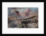 Dogfight 1917, 1995 by Vincent Alexander Booth