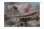 Dogfight 1917, 1995 by Vincent Alexander Booth