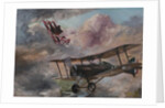 Dogfight 1917, 1995 by Vincent Alexander Booth