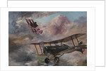 Dogfight 1917, 1995 by Vincent Alexander Booth